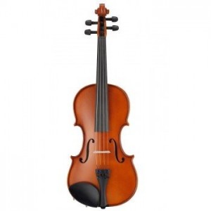 Купить скрипку онлайн в магазине «Мир классической музыки»